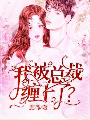 帝师王婿